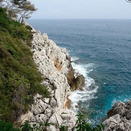 456 Chemin De La Pinede Mentona
