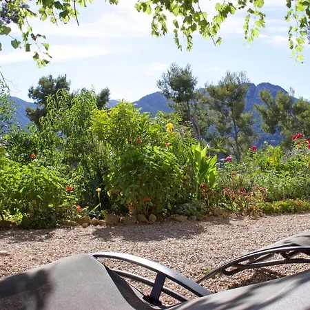 Apartment 456 Chemin De La Pinede Menton