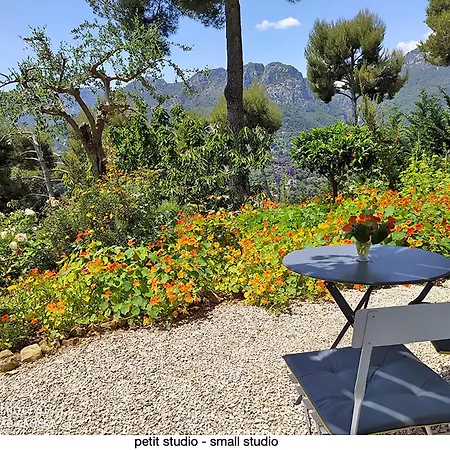 Apartament 456 Chemin De La Pinede *