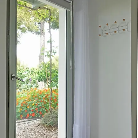 公寓 456 Chemin De La Pinede 芒通