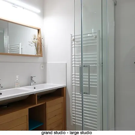 456 Chemin De La Pinede 公寓 芒通