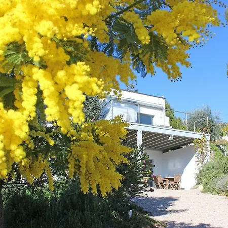 456 Chemin De La Pinede 芒通