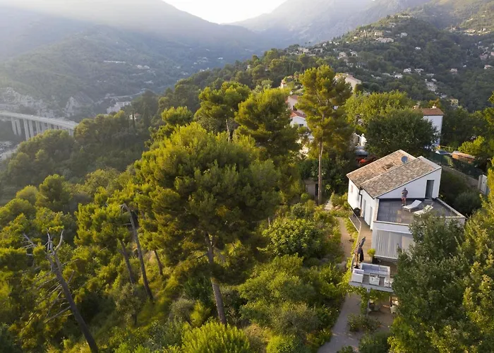 456 Chemin De La Pinede *