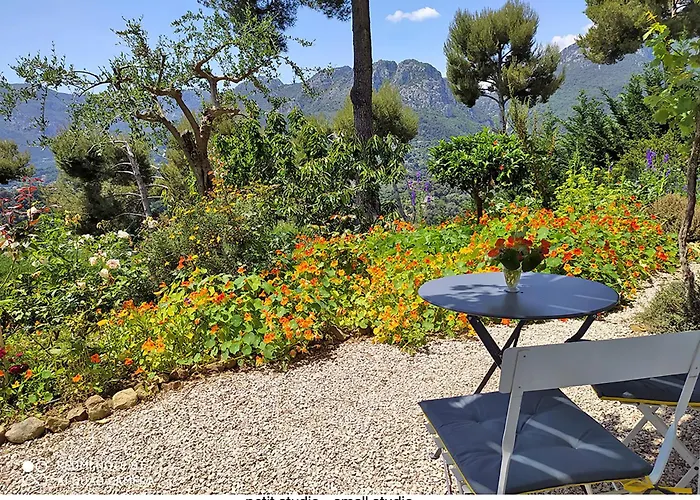 Apartman 456 Chemin De La Pinede *