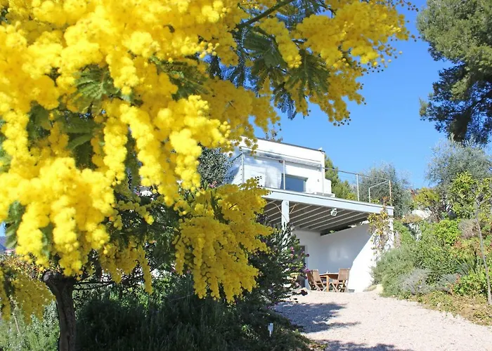 456 Chemin De La Pinede Menton
