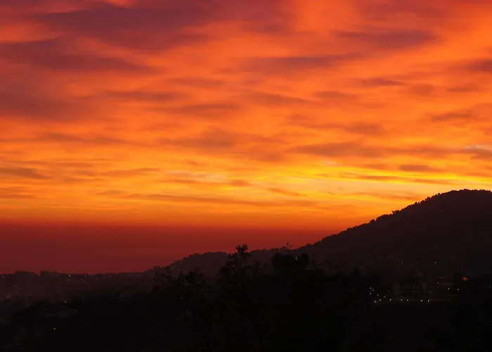 456 Chemin De La Pinede